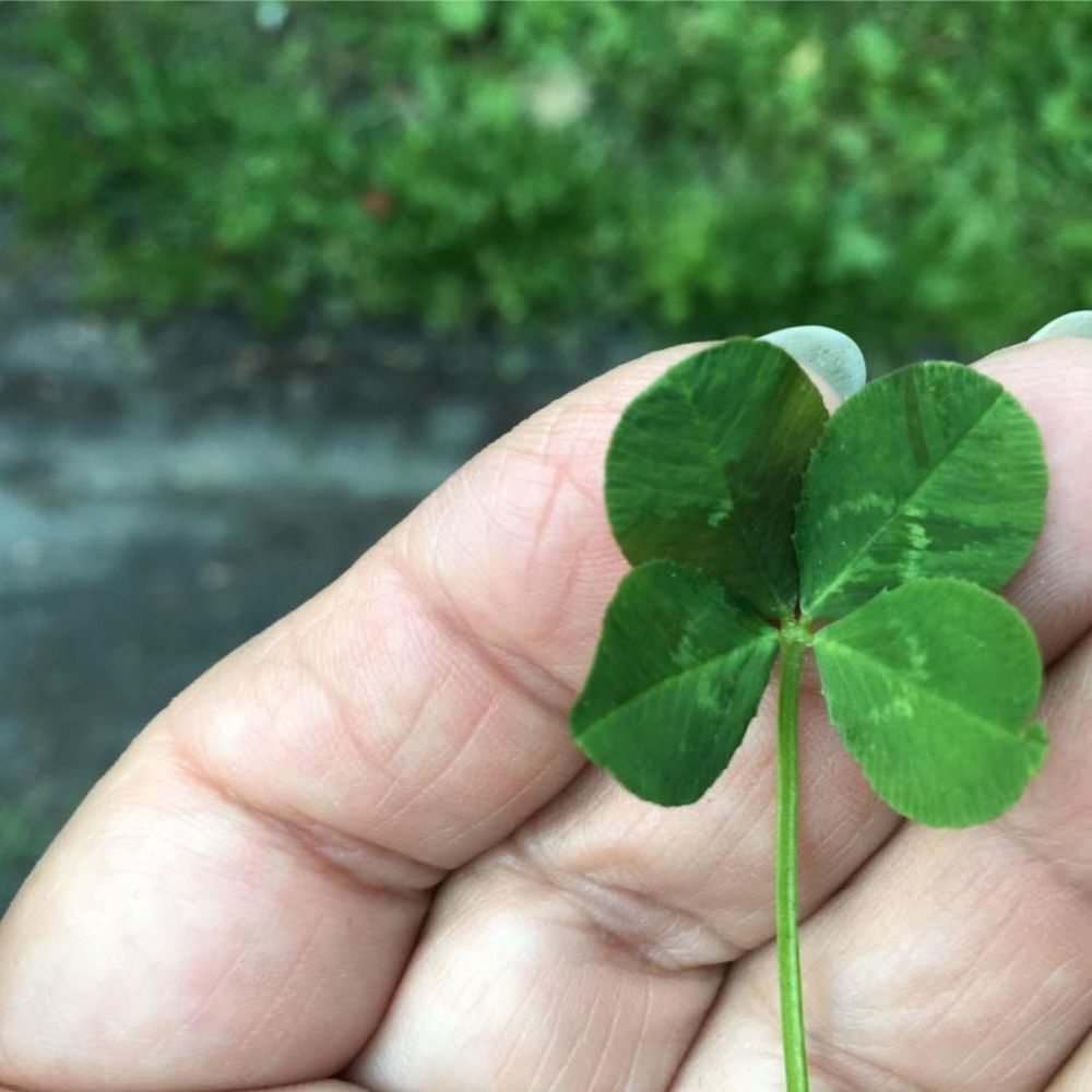 Meet your Posher, Peggy sheets